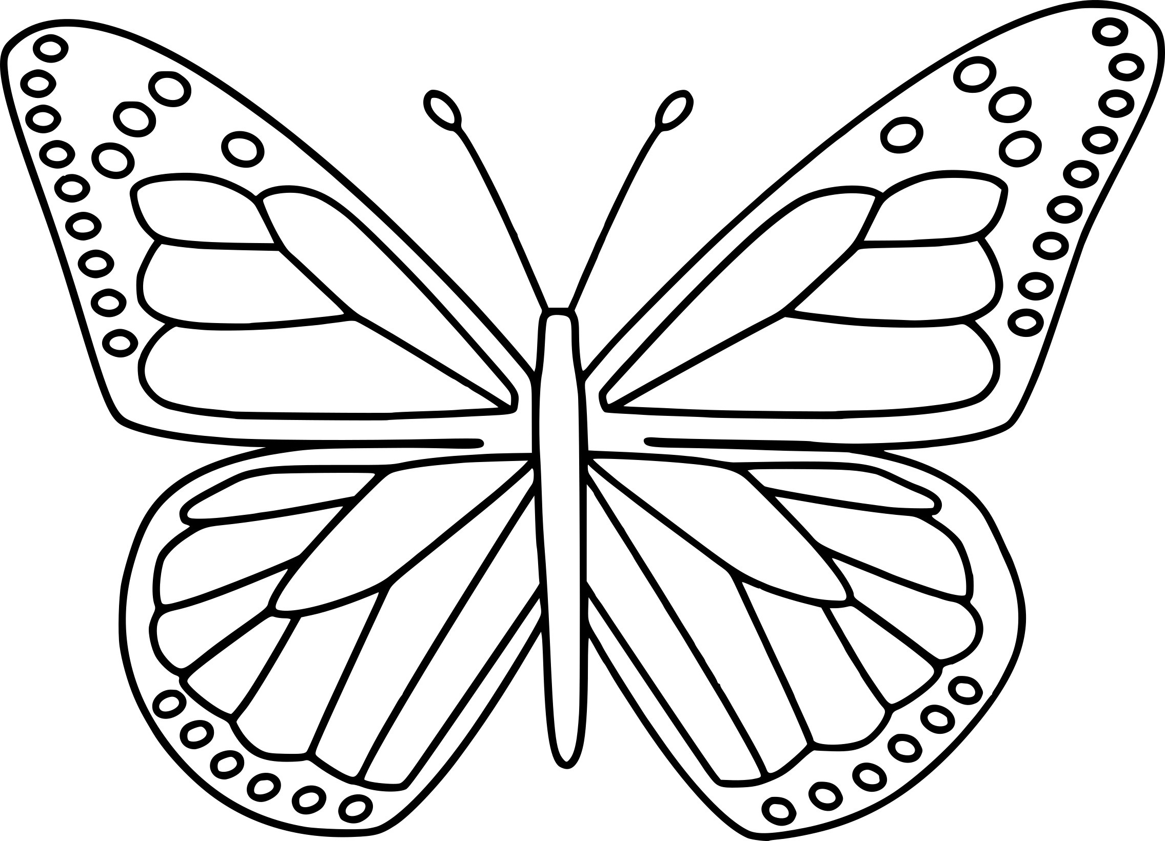 coloriage papillon et dessin