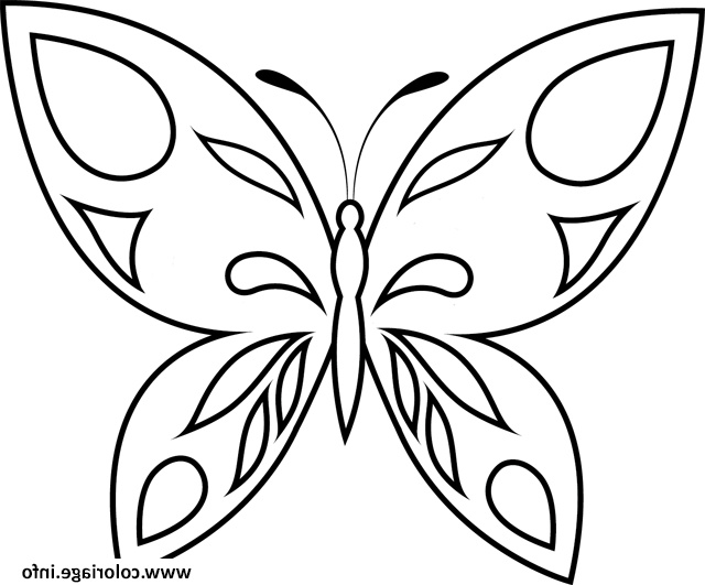 papillon 47 coloriage dessin