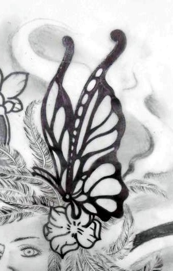 dessin de papillons