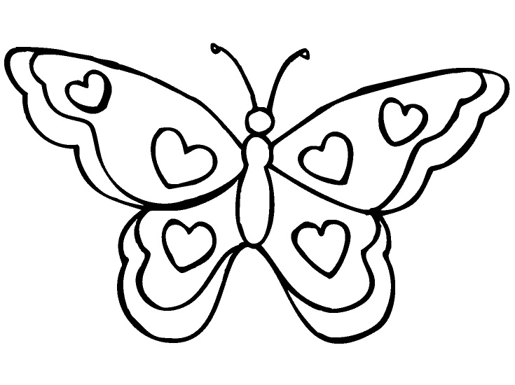 dessin simple papillon