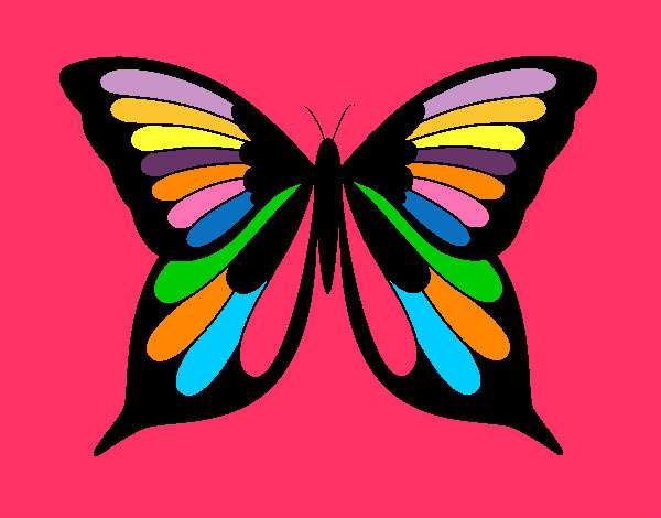 papillon 8 1 colorie par gusgus