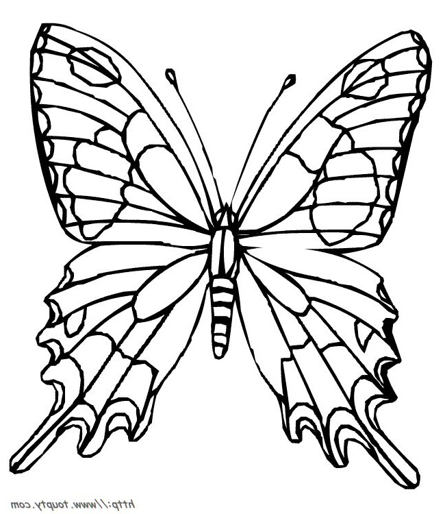 design coloring pages