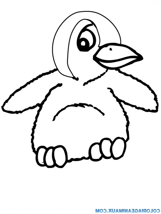 pingouin dessin couleur