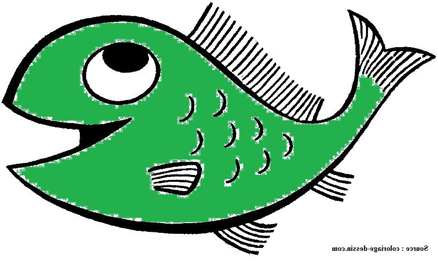 wwf peche durable guide poisson vert