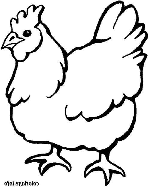 paques dessin d une poule coloriage dessin 8606