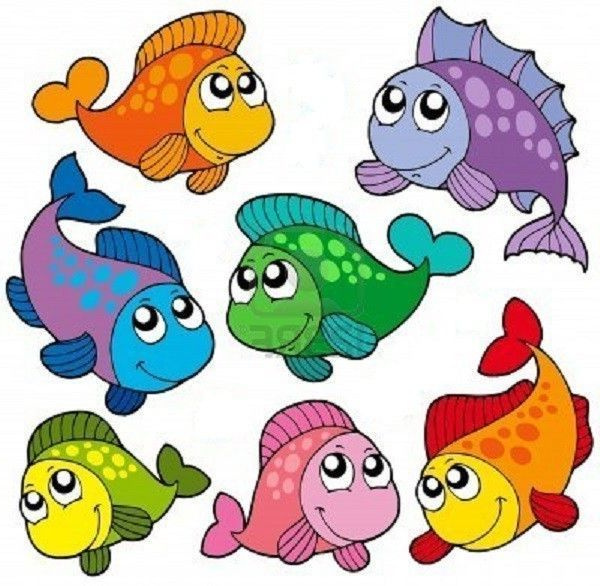 484 les poissons pour aquarium