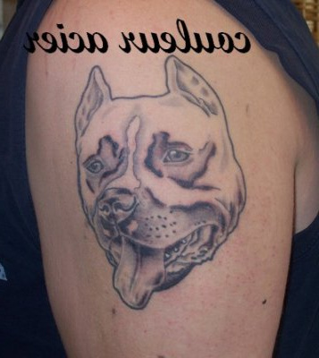 Tete de chien creation dessin et tattoo Daniel
