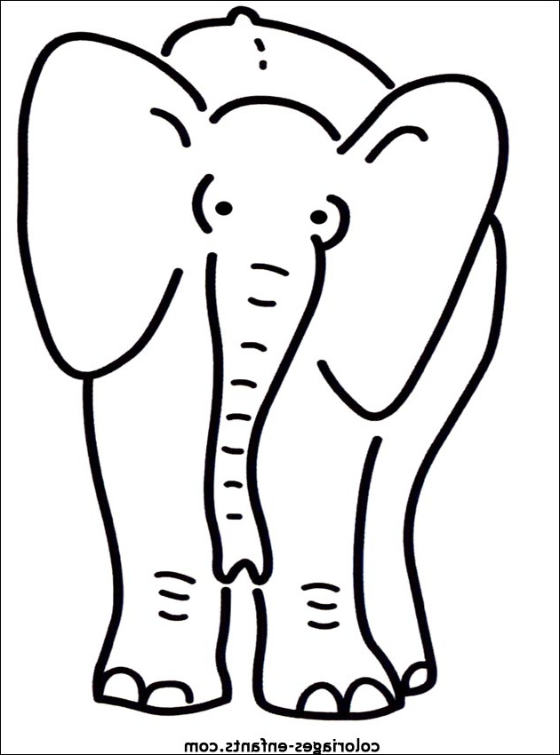 dessin de elephant 8