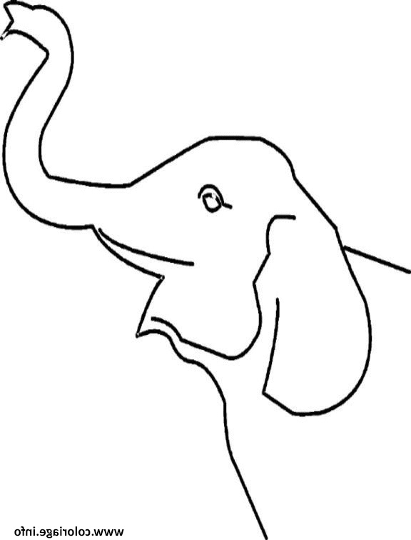 tete d elephant avec sa trompe coloriage