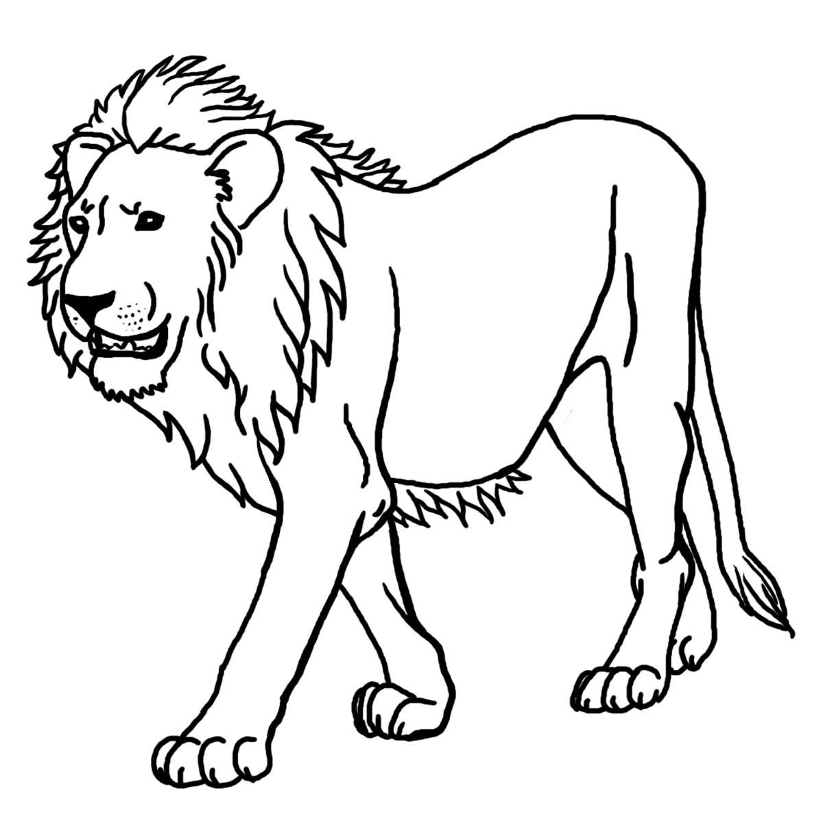 image=lion coloriage lion 2 1
