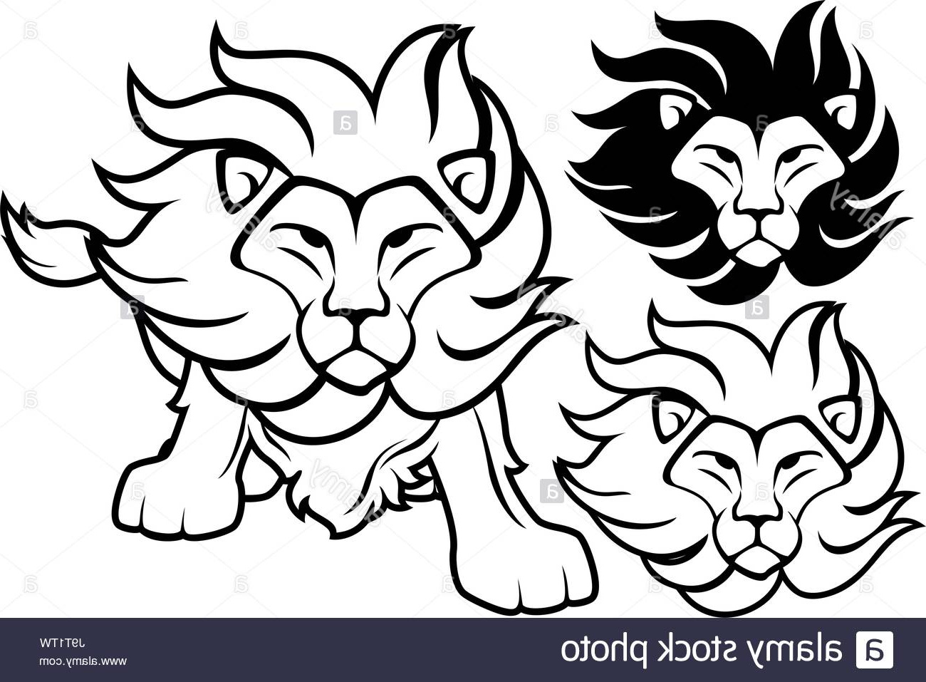 photo image vue de face de la tete de lion et dessins isole sur fond blanc en format vectoriel tres facile a modifier des objets