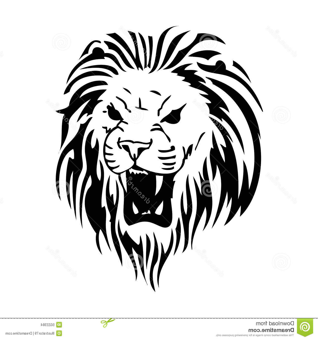 images stock lion image