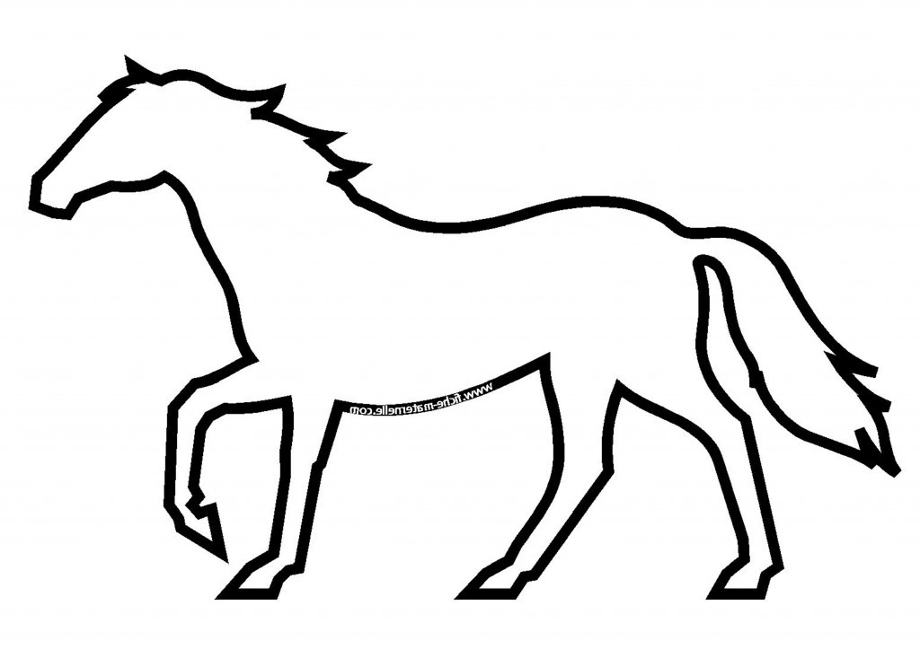 dessin de cheval 7