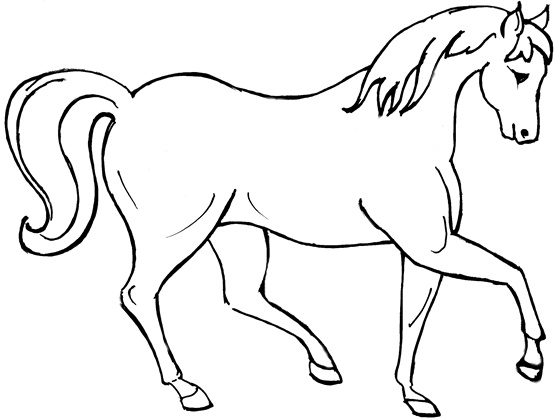 dessiner un cheval facilement