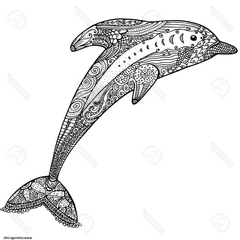 Dessins Difficile Élégant Photos Coloriage Dauphin Animaux Dessin Adulte Zen Difficile Dessin