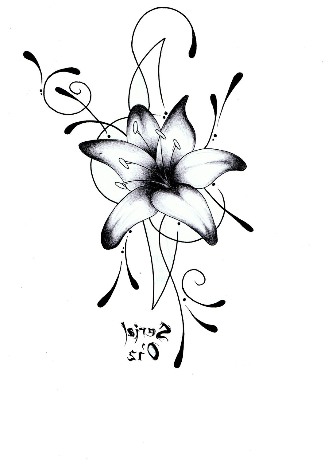 fleur de lys dessin noir et blanc