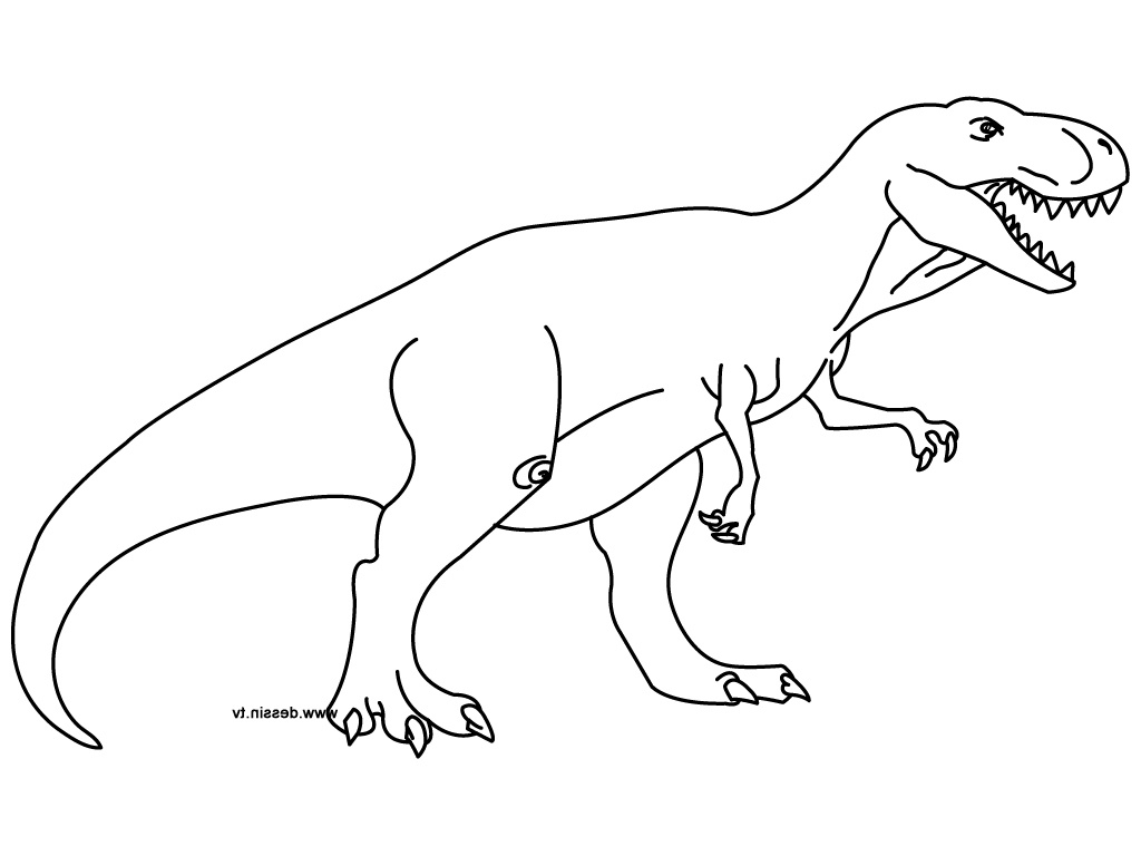 dessin dinosaure a imprimer 9691