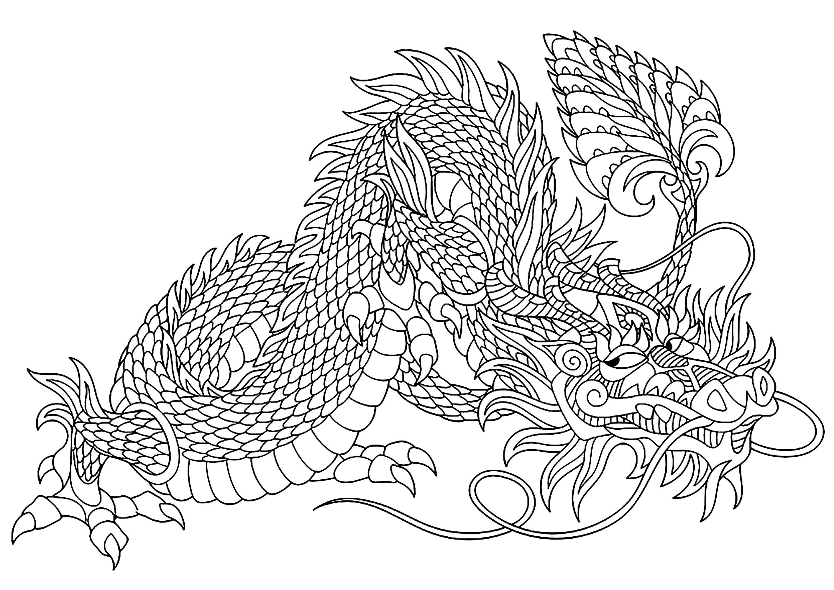 image=dragons coloriage dragon malicieux 1