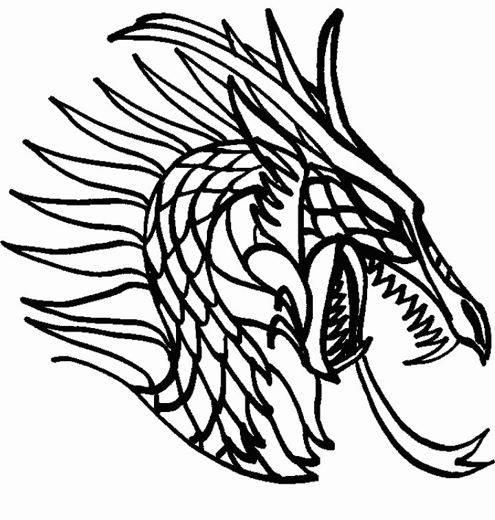 dessin de dragon a colorier