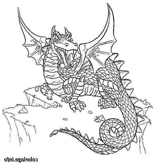 dragon coloriage 1691