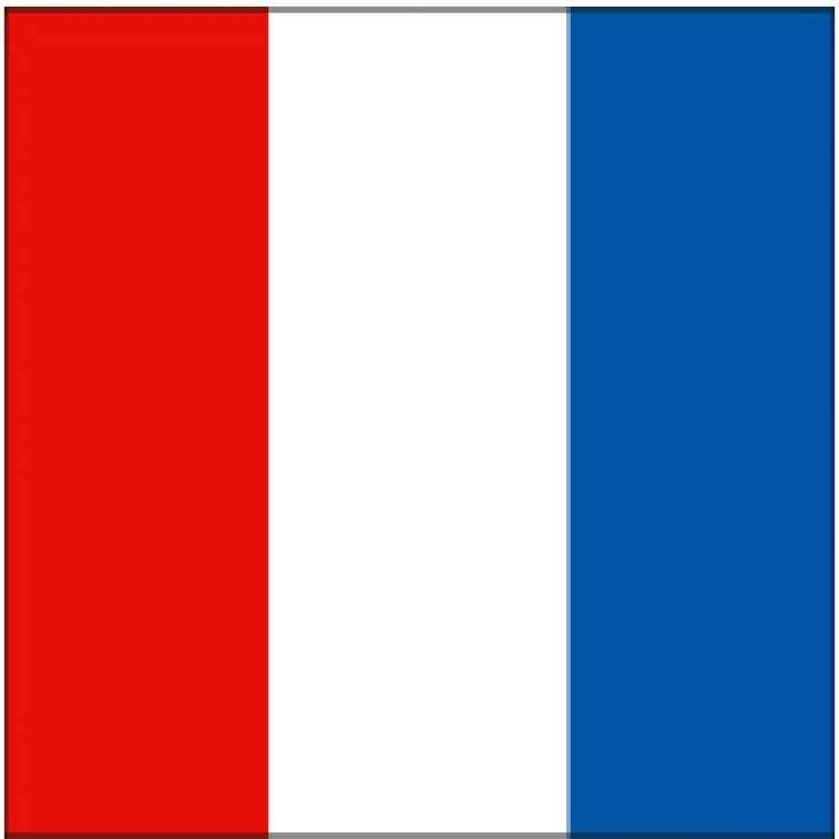 image drapeau francais a imprimer gratuit