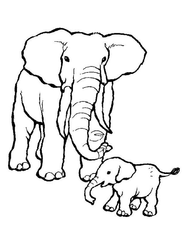 coloriage elephant
