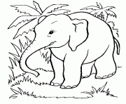 elephant de profil coloriage dessin