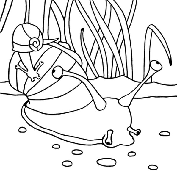 dessin escargot coloriage