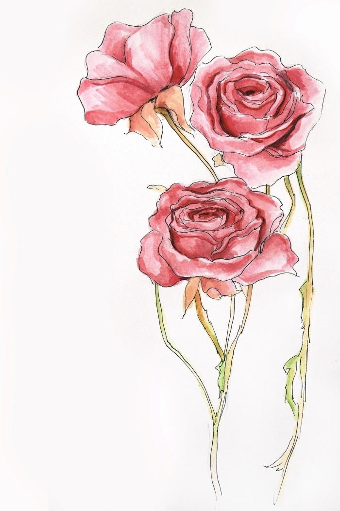 fleur rose dessin