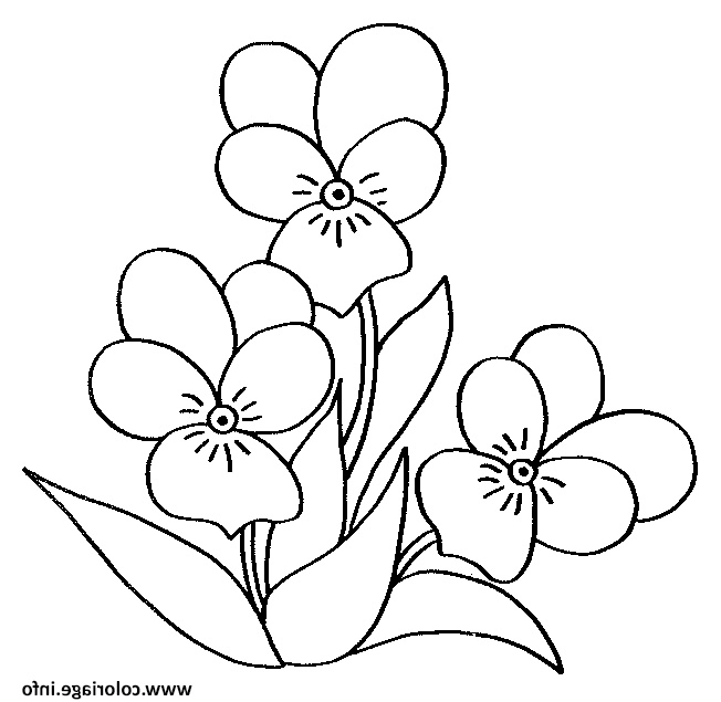 fleurs printemps maternelle simple facile coloriage