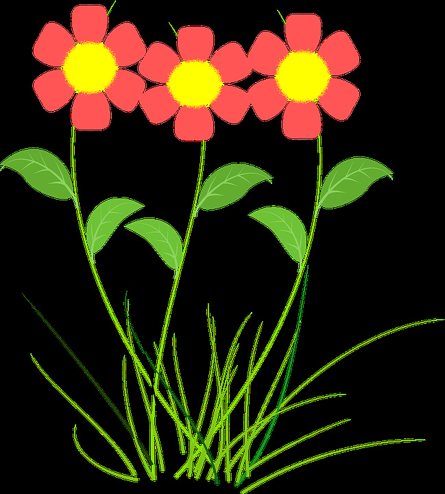 fleur rose plantes dessin vectoriel