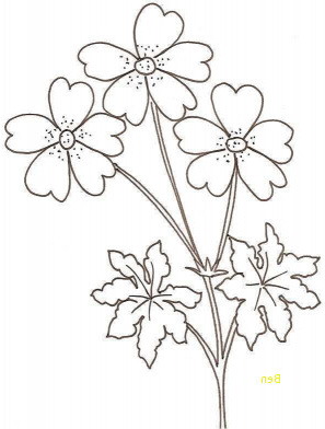 fleur dessin simple elegant coloriage fleur simple unique coloriage d 39 un geranium dessin