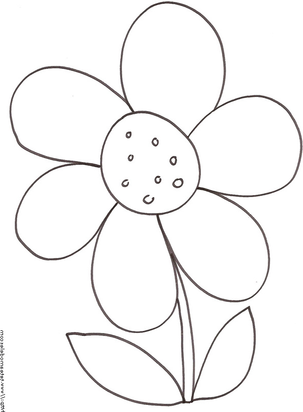 dessin fleur simple