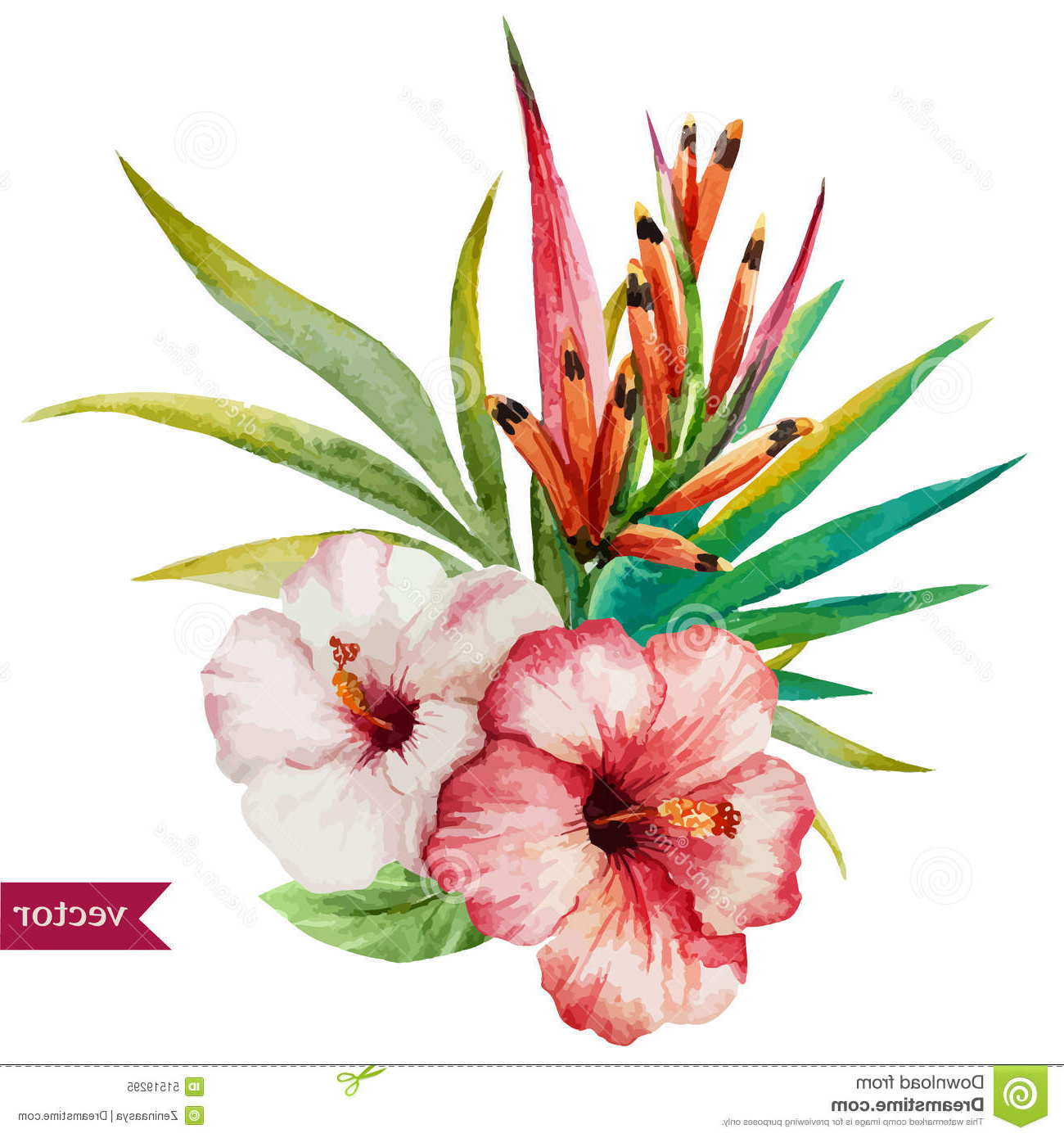 illustration stock fleurs tropicales gentilles image