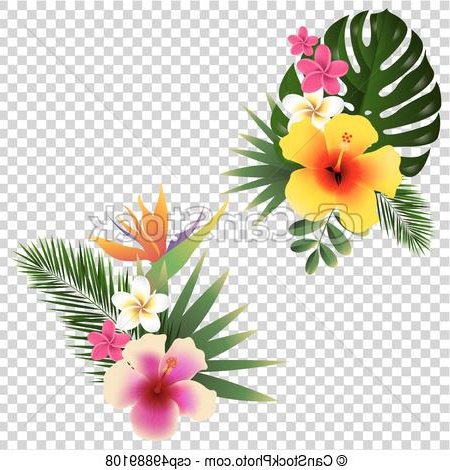 fleur tropicale ensemble transparent