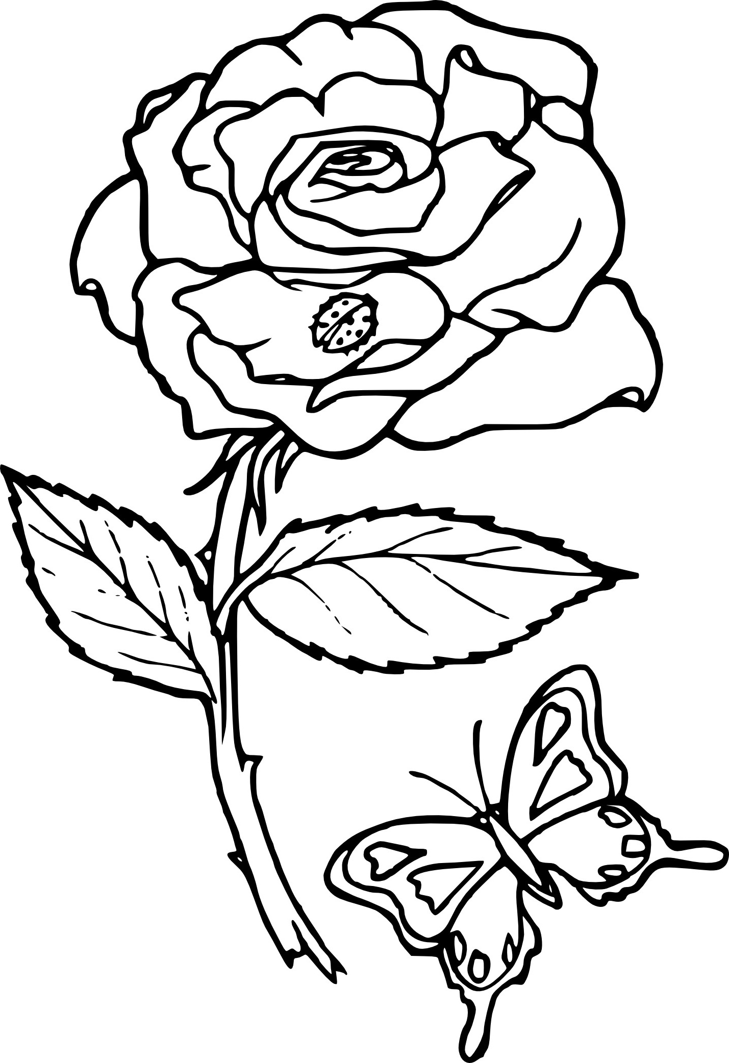 coloriage rose fleur