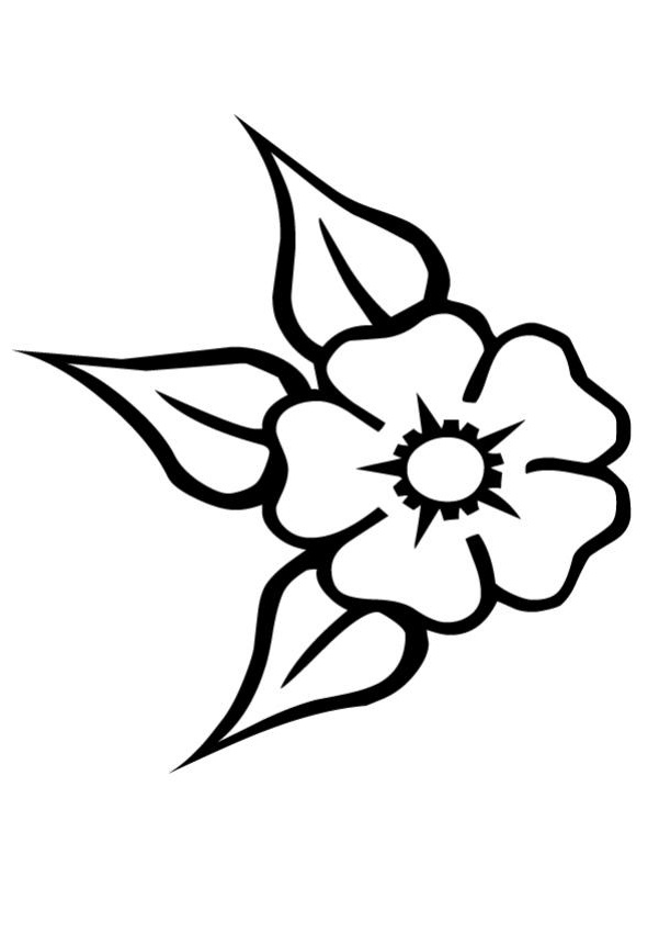 dessin simple dune fleur