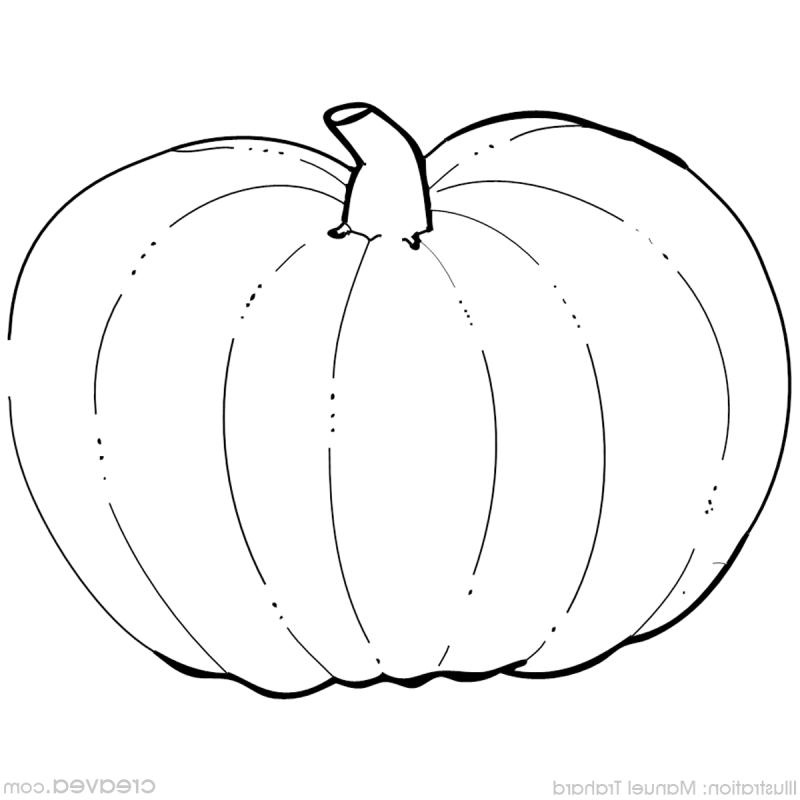 coloriage coloriage halloween fiches conseils 936 0