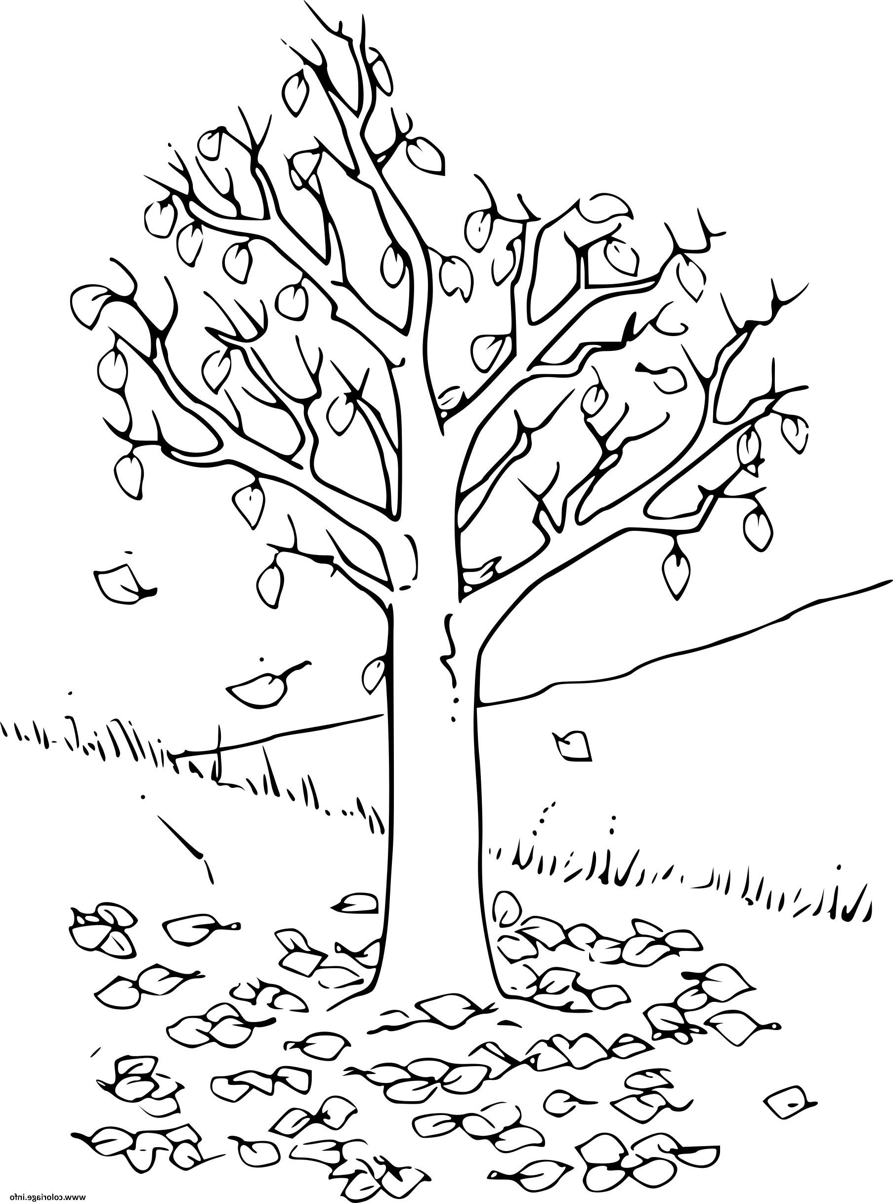 arbre automne avec feuilles coloriage dessin