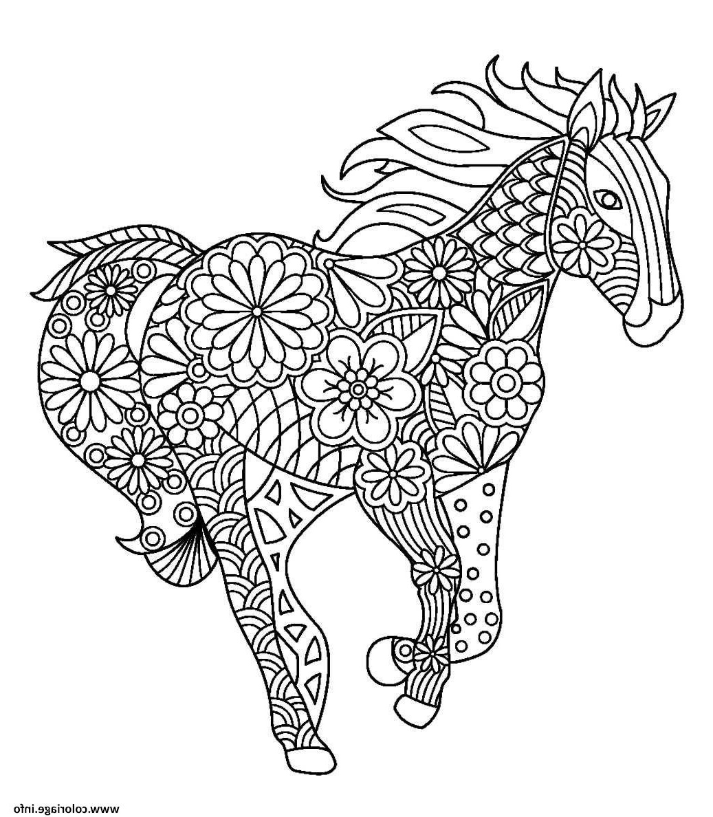 cheval mandala adulte en course coloriage dessin