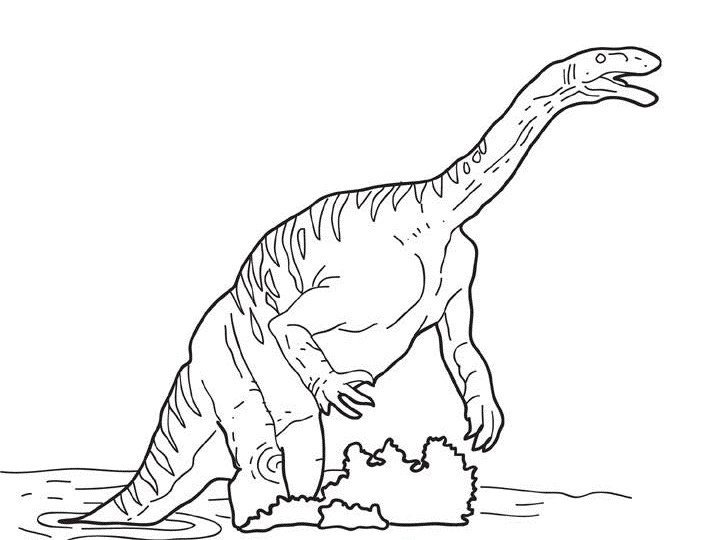 coloriage Dinosaures 0