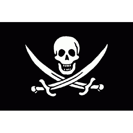 drapeau pirate 6090 cm