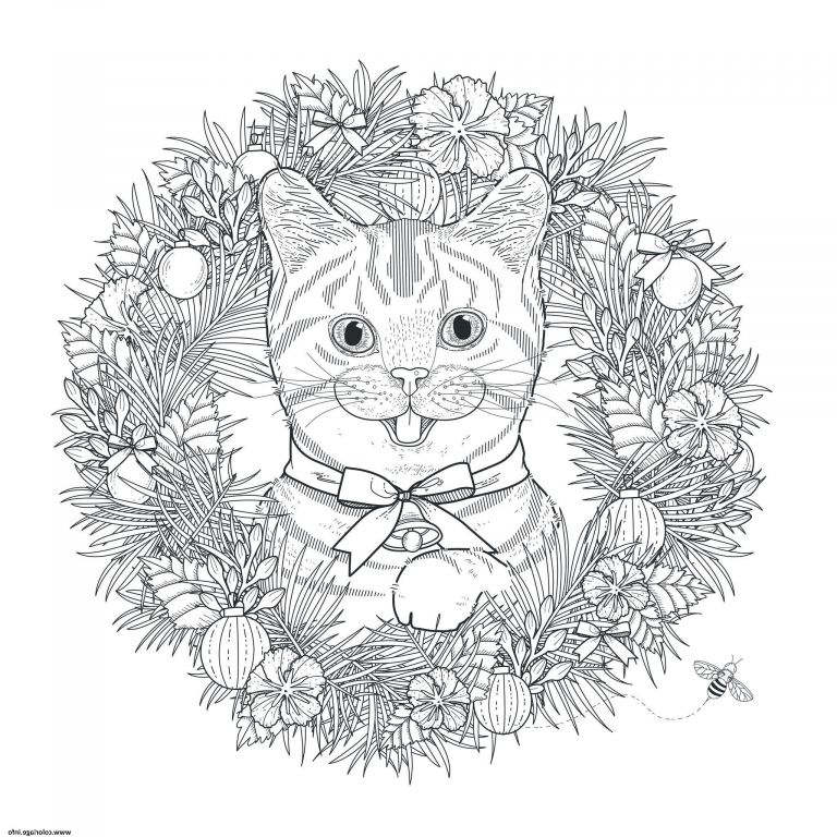 Imprimer Un Coloriage Impressionnant Galerie Coloriage Mandala Noel Chat Adulte Dessin
