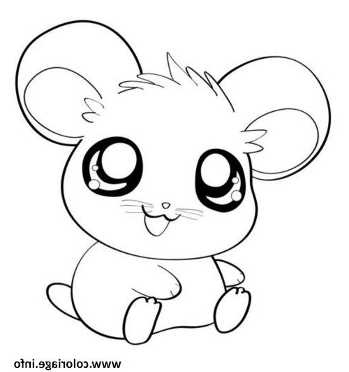 Kawaii A Imprimer Nouveau Photos Coloriage Hamster Cute