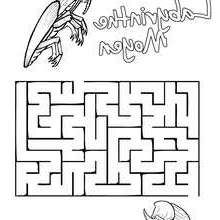 labyrinthes a imprimer