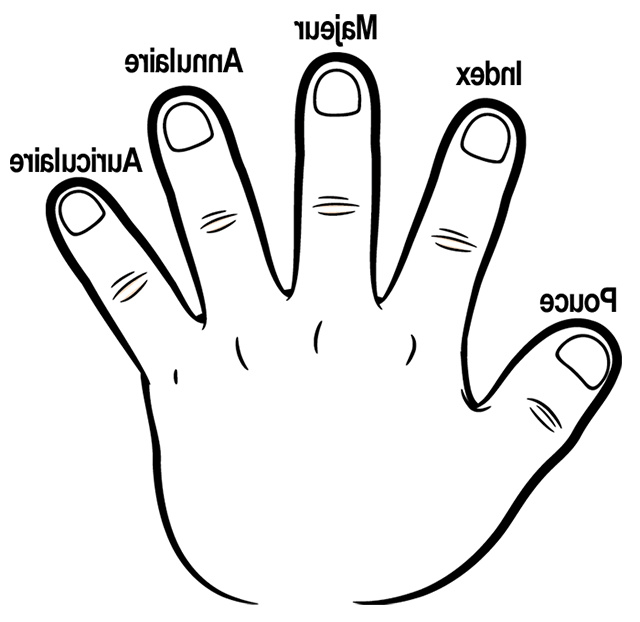 98 les cinq doigts de la main