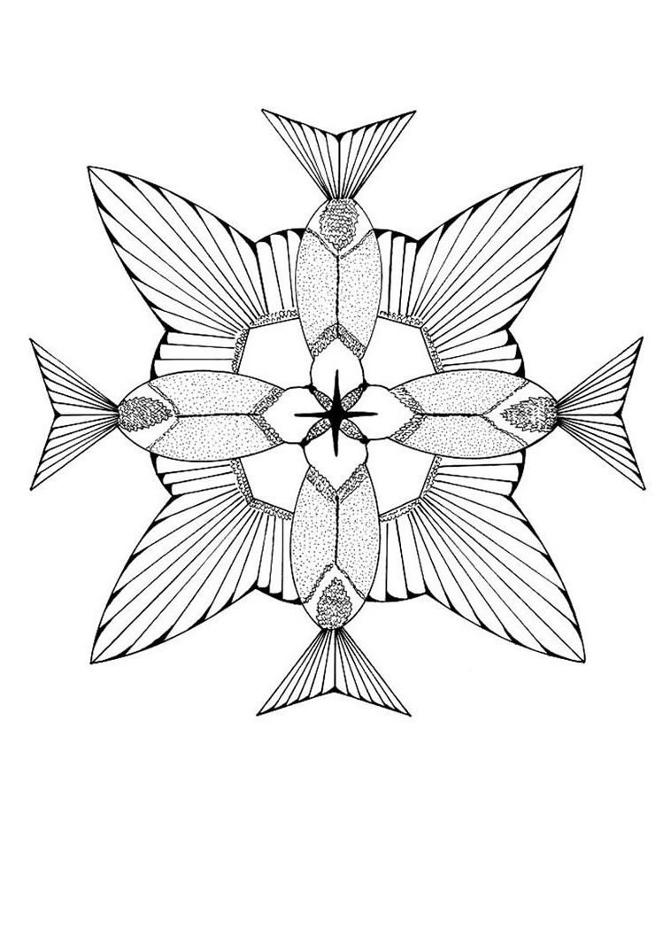 colibri mandala