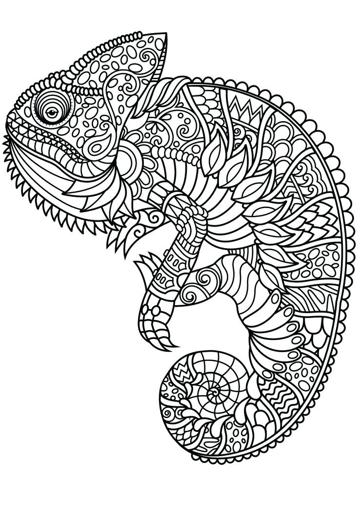animal mandala coloring pages