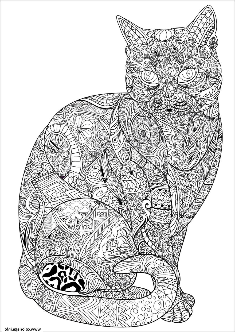 chat adulte difficile antistress animaux coloriage