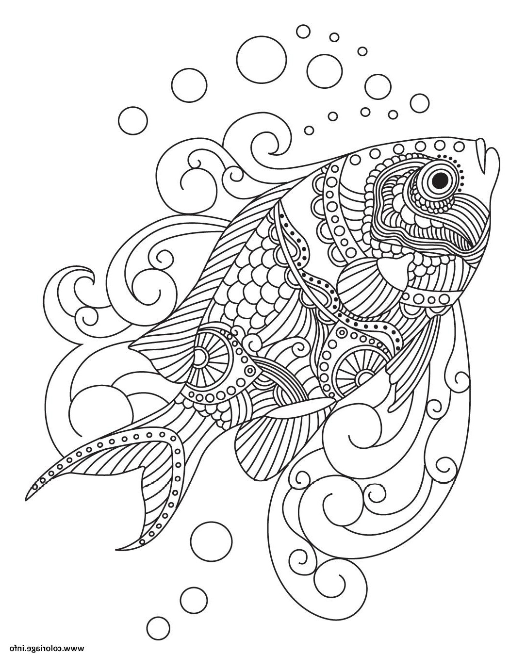 poisson mandala adulte coloriage dessin